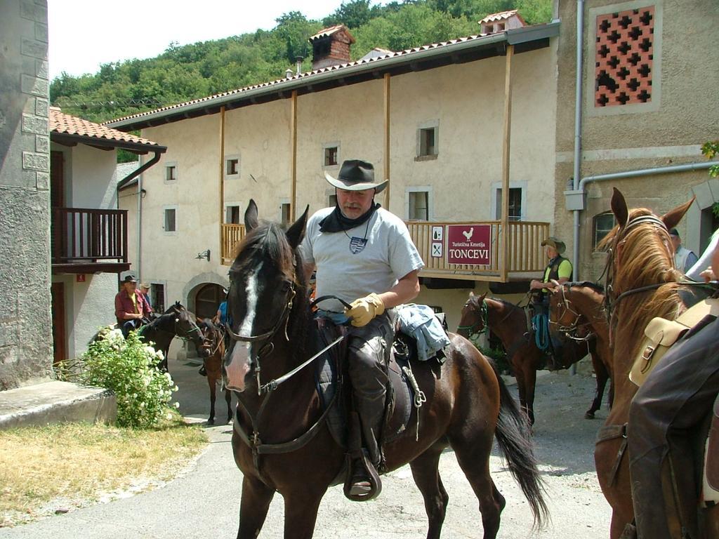 Toncevi Eco Estate Hotel Branik Exterior photo